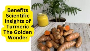 Benefits of Turmeric - Remarkable Health Benefits, Therapeutic Uses, and Scientific Insights - The Golden Wonder