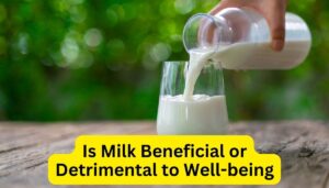 Is Milk Beneficial or Detrimental to Well-being - Exploring the Health Implications